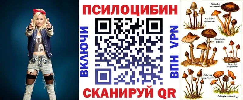Купить где  Серов  Галлюциногенные грибы ЛСД 