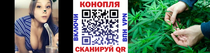 Купить  Серов  Канабис семена 